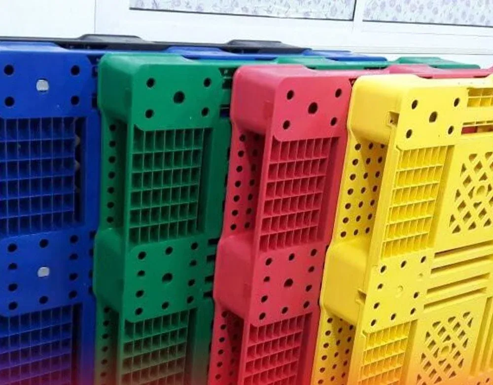 Colour-coded plastic pallets for cold-room storage